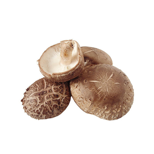 Soczewica (shitake). 50g